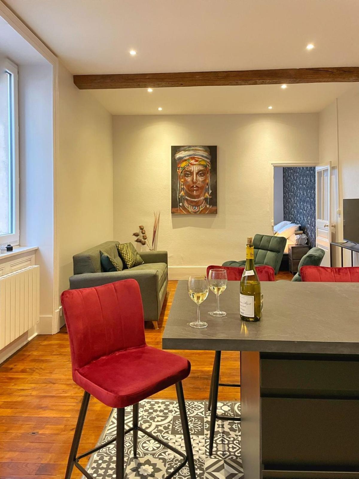 Center Macon Charmant Appartement Avec Vue Sur La Saone Exterior photo